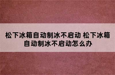 松下冰箱自动制冰不启动 松下冰箱自动制冰不启动怎么办